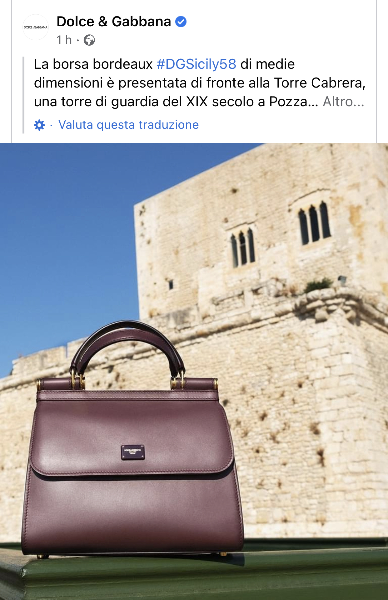 Dolce e sales gabbana borse 2020